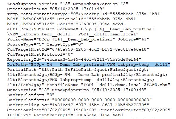 So sieht eine .VBM Metadatendatei von Veeam fuer Backup und Replicas aus